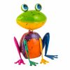 Freda the Frog  Critter Colour