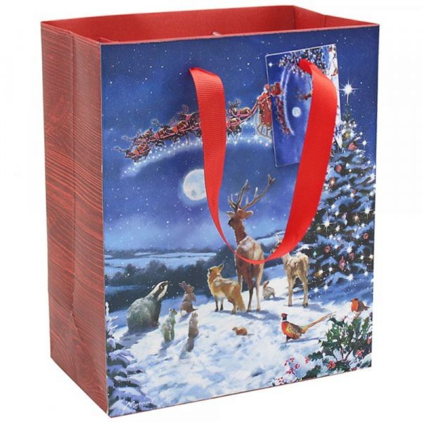 Magic of Christmas Large Gift Bag