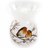 Robin Glass Oil Burner 15.5cm