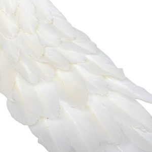 white feathered peacock l60cm